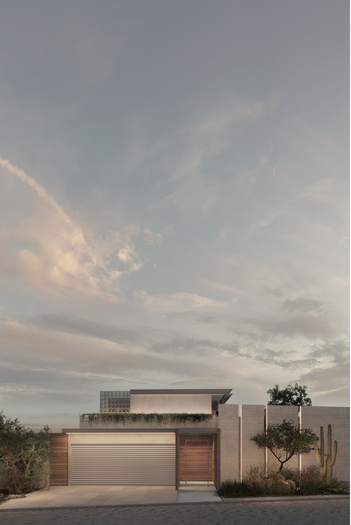 Tecum Project — 2
