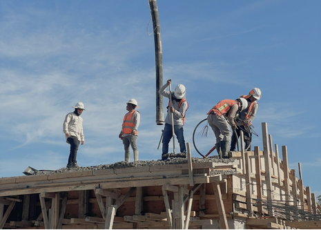 Construction & Project Management