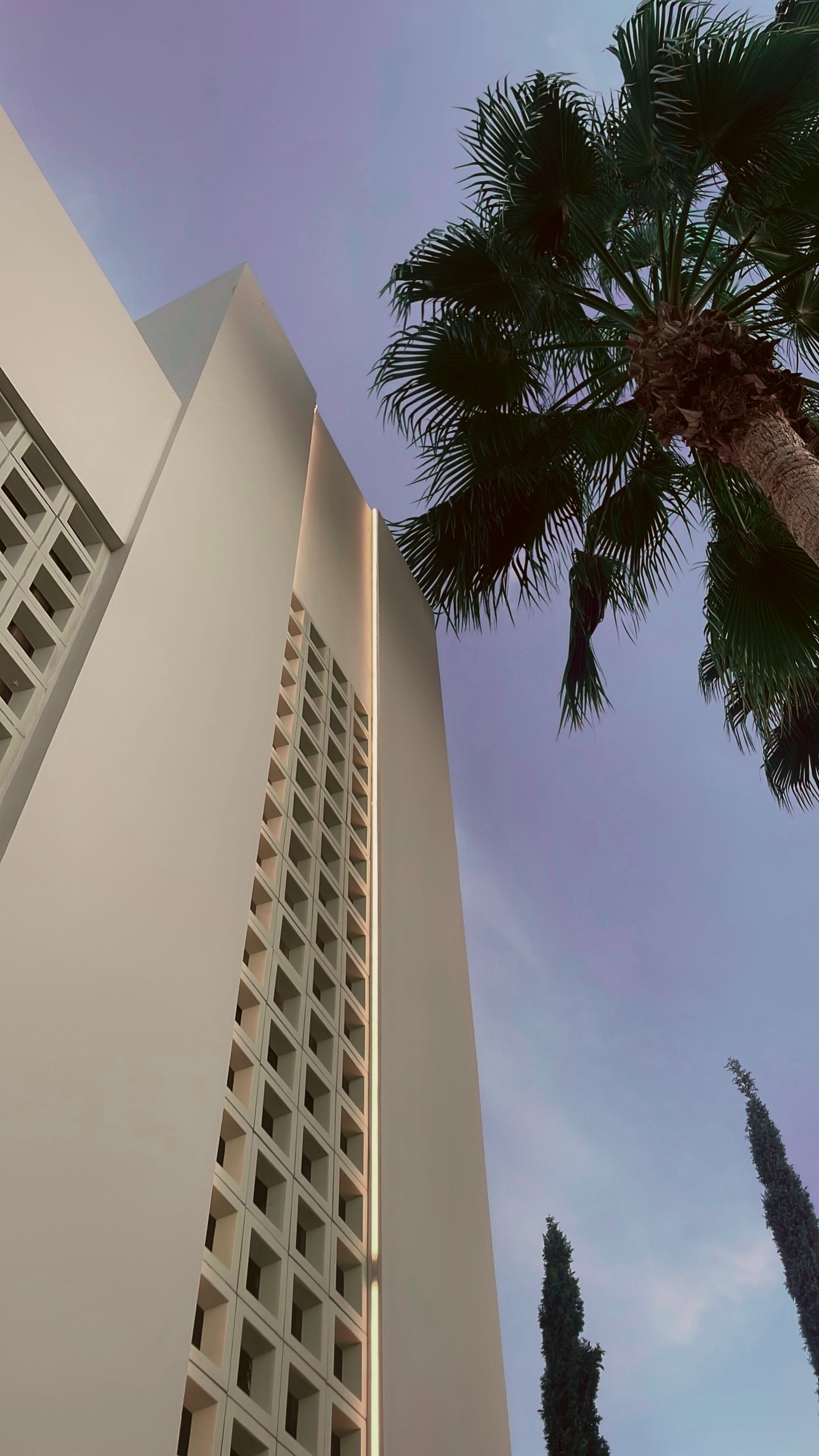 Residence facade render with palm at dusk